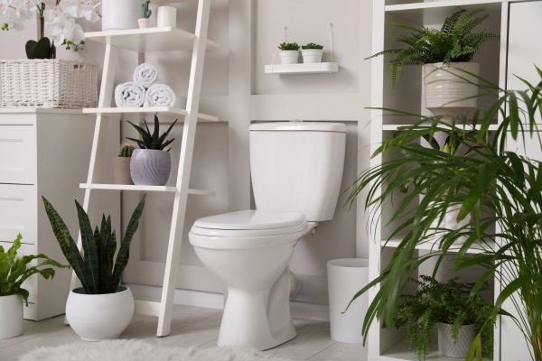 Cost of Toilet Repair in Forney