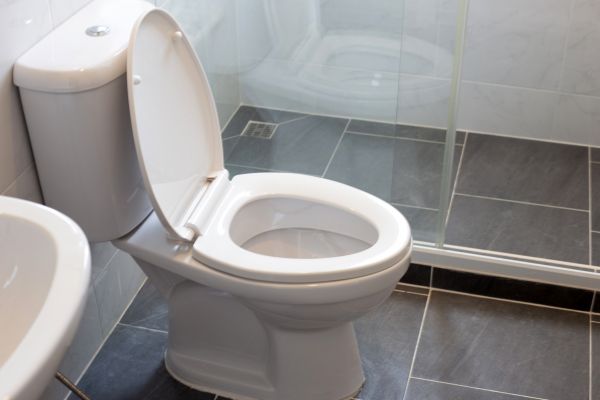 Cost of Toilet Replacement in Forney