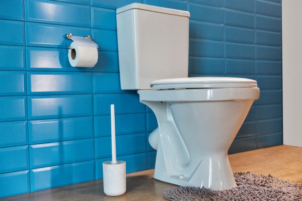 Cost of Toilet Tank Repair in Forney