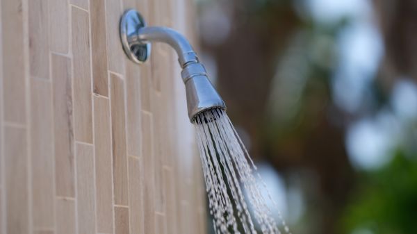 Cost of Showerhead Repair in Forney